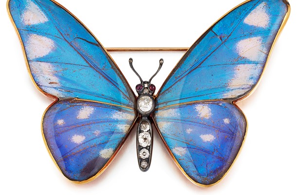 Butterfly wing brooch is sure to have bidders in a flap!