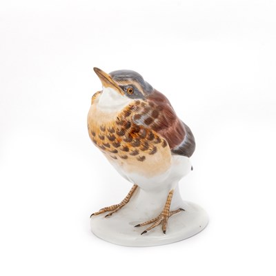 Lot 40 - A MEISSEN MODEL OF A YOUNG BLACKBIRD, DESIGNED BY MAX BOCHMANN