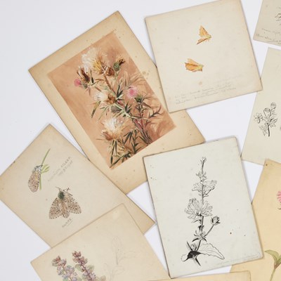 Lot 640 - EILEEN ALICE SOPER (1905-1990)
