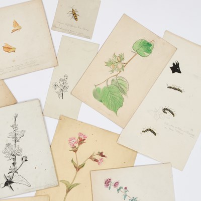 Lot 640 - EILEEN ALICE SOPER (1905-1990)