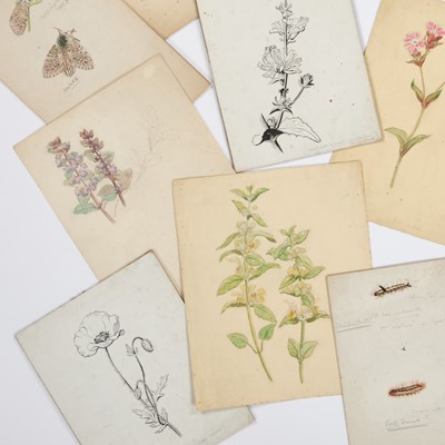 Lot 640 - EILEEN ALICE SOPER (1905-1990)