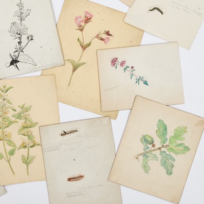 Lot 640 - EILEEN ALICE SOPER (1905-1990)