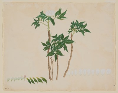 Lot 615 - LATE 18TH CENTURY CHINESE SCHOOL