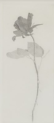 Lot 593 - DAVID HOCKNEY R.A (BORN 1937)