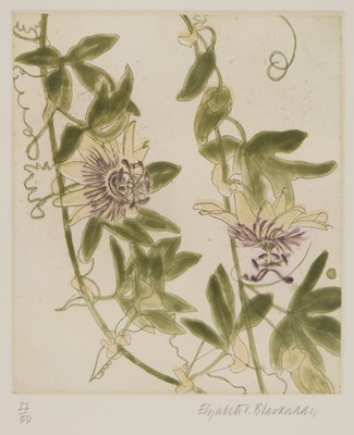 Lot 623 - DAME ELIZABETH BLACKADDER, D.B.E, R.A, R.S.A (1931-2021)