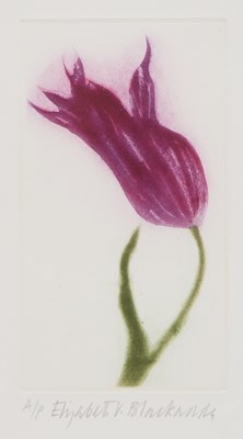 Lot 654 - DAME ELIZABETH BLACKADDER D.B.E, R.A, R.S.A (1931-2021)