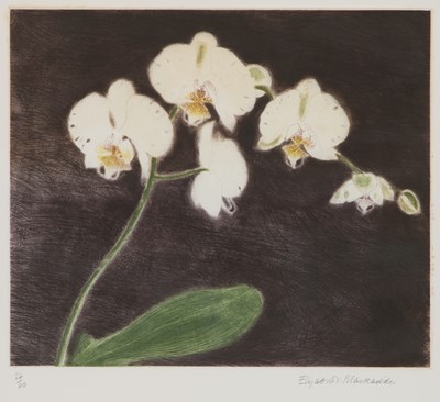 Lot 588 - DAME ELIZABETH BLACKADDER D.B.E, R.A, R.S.A (1931-2021)
