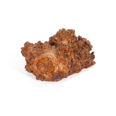 Lot 1121 - A SCOTTISH BURR WOOD SNUFF BOX