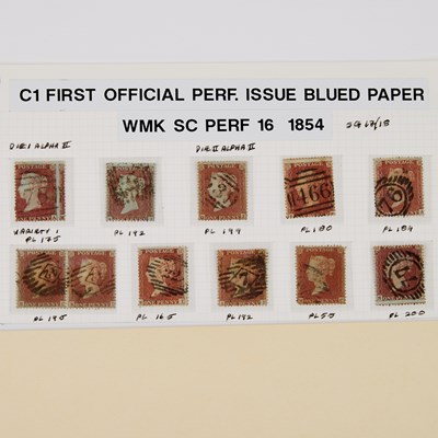 Lot 137 - 1854 1D RED X 11 C1 FIRST OFFICIAL PERF ISSUES BLUE PAPER WMK SC PERF 16