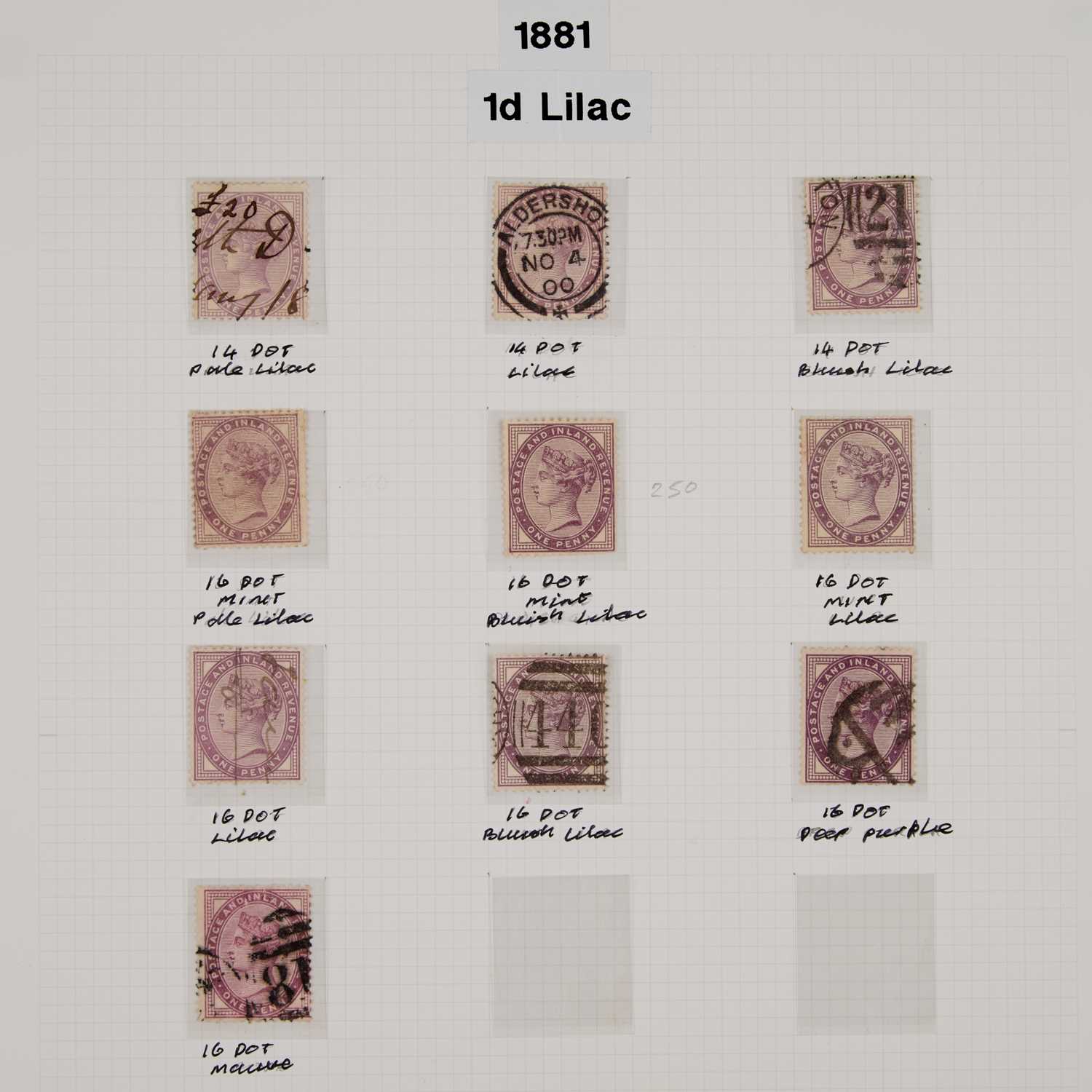 Lot 24 - 1D LILAC (10)