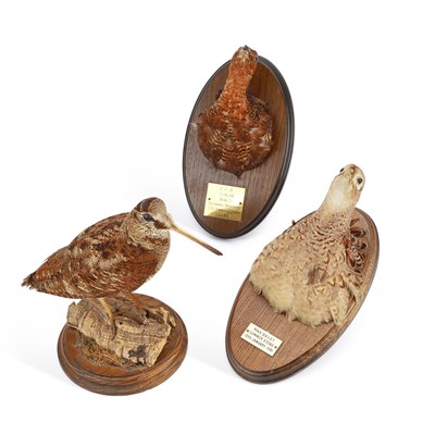 Lot 1126 - THREE TAXIDERMY GAME BIRDS
