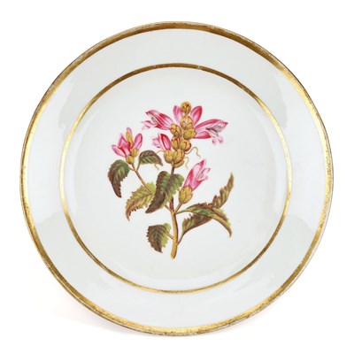 Lot 173 - A SWANSEA PORCELAIN DESSERT PLATE