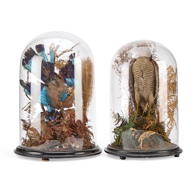 Lot 941 - TWO VICTORIAN TAXIDERMY BIRD DISPLAYS AND DOMES
