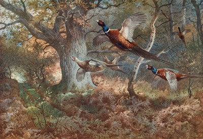Lot 870 - AFTER ARCHIBALD THORBURN (1860-1935)