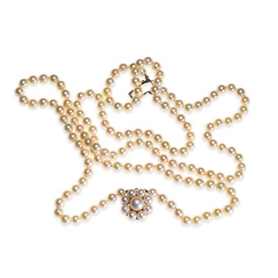 Lot 616 - A 9 CARAT GOLD CULTURED PEARL NECKLACE
