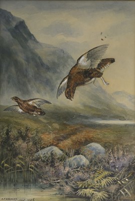 Lot 875 - D. F. HINDLEY (LATE 19TH/EARLY 20TH CENTURY)
