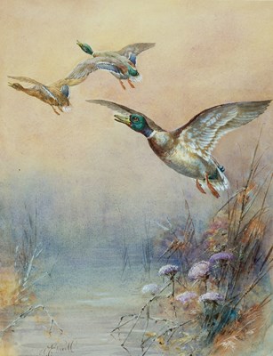 Lot 761 - WILLIAM EDWARD POWELL (1878-1955)