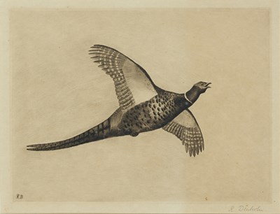 Lot 794 - ROBERT DENHOLM (FL 1897-1927)